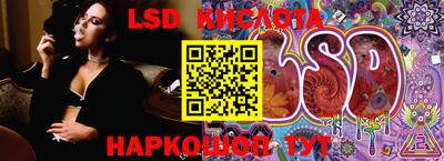 PSILOCYBIN Гусь-Хрустальный