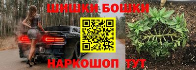 стафф Гусев