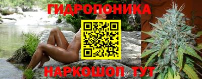 стафф Гусев
