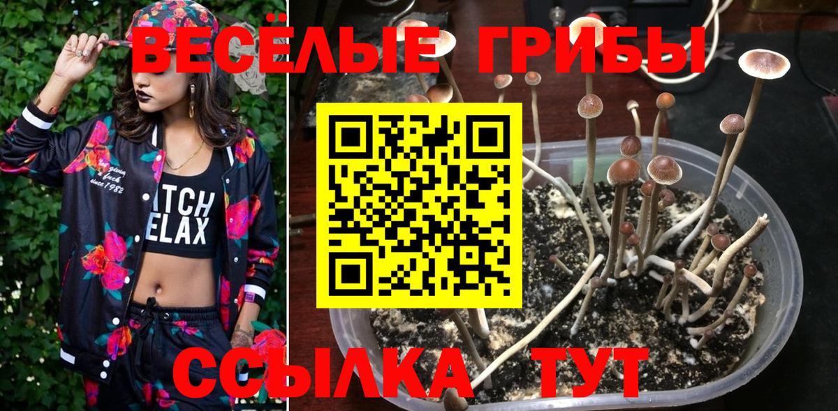 Псилоцибиновые грибы мицелий Бирск